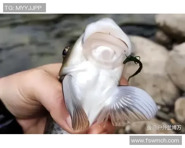 垂钓人的“公敌”，钓到后有必要拉黑处理！清道夫究竟犯了啥错？